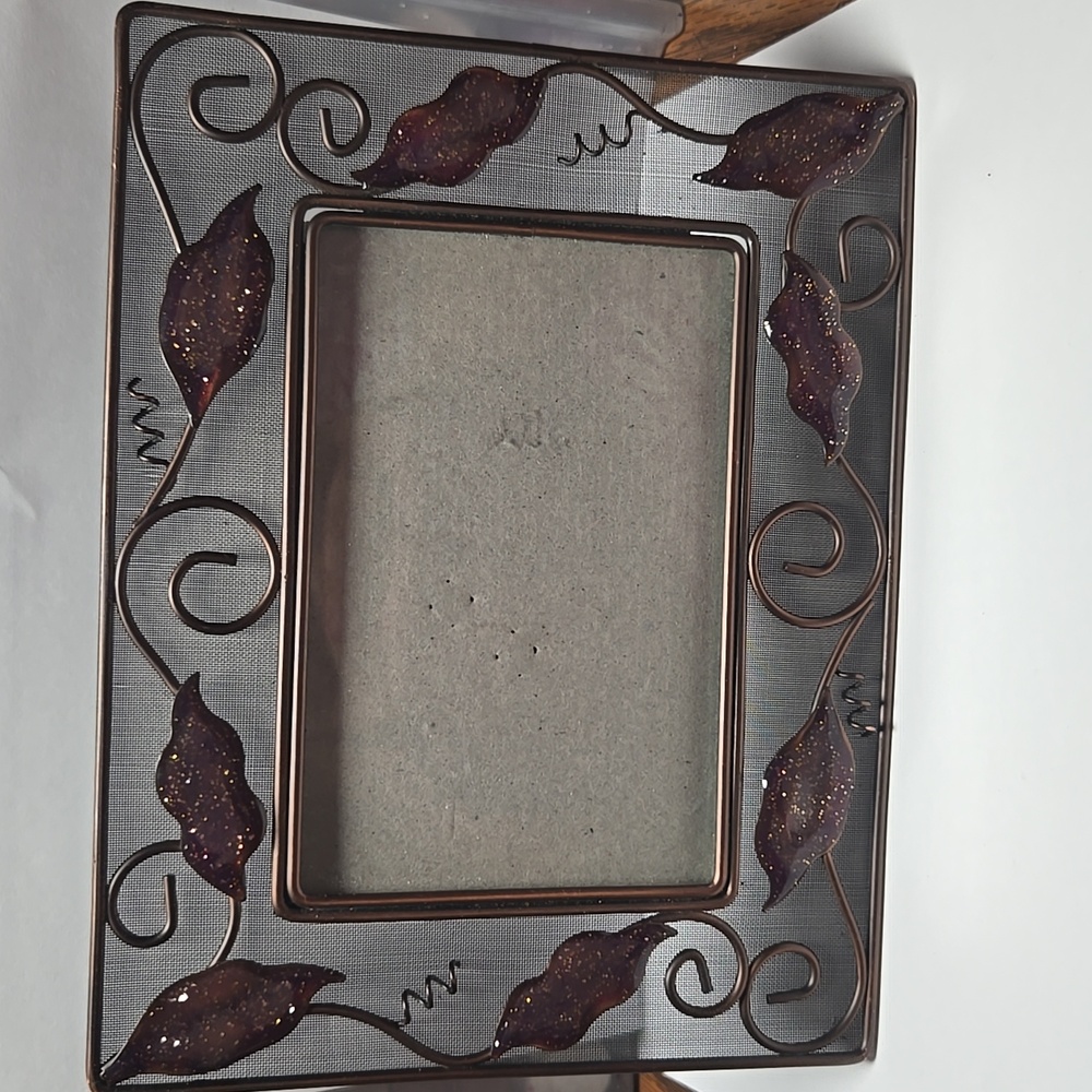 Broze Mesh Picture Frame